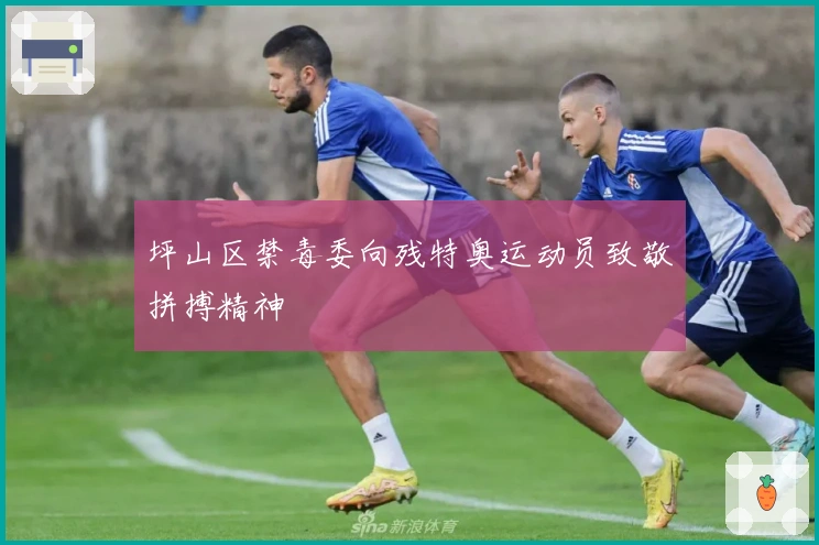 坪山区禁毒委向残特奥运动员致敬拼搏精神