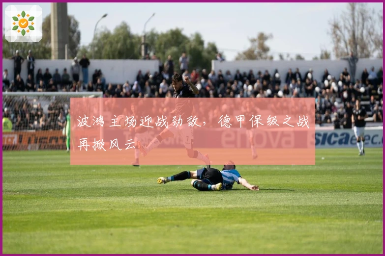 波鸿主场迎战劲敌，德甲保级之战再掀风云